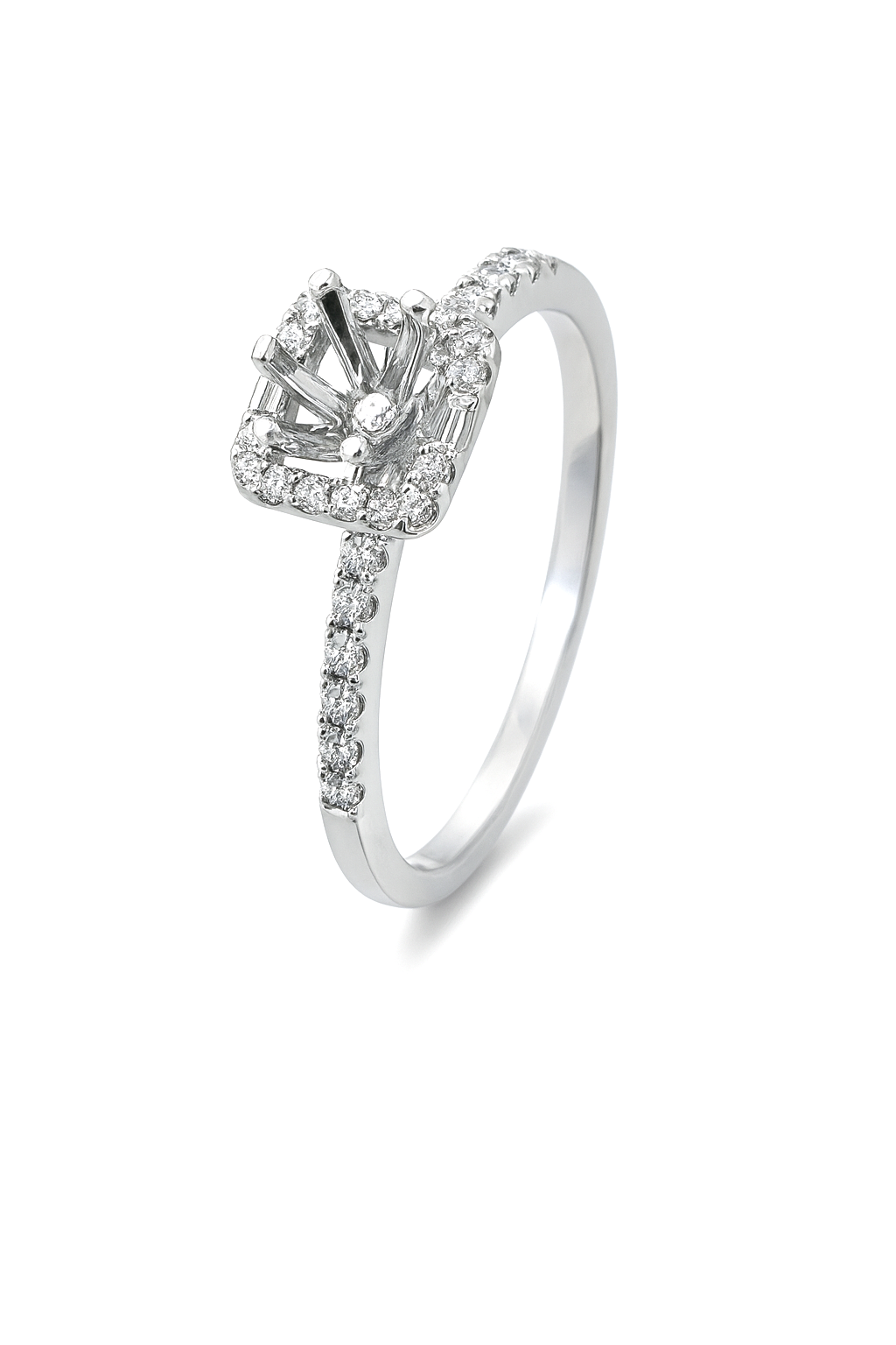 Elegant Diamond Ring
